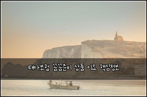 ํ์๋ณดํ ๊ผผ๊ผผ์ค๋น ์ํ ์ด์ ํต์ฌ์ ๋ณด