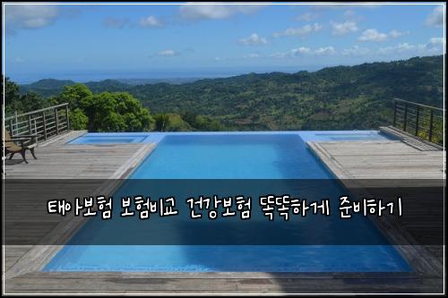 태아보험 보험비교 건강보험 똑똑하게 준비하기