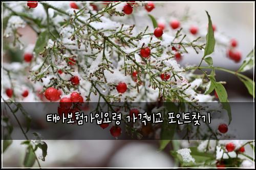 태아보험가입요령 가격비교 포인트찾기