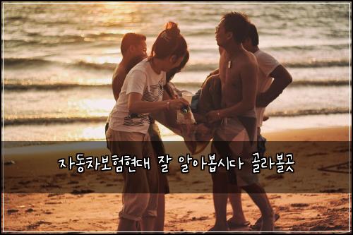 자동차보험현대 잘 알아봅시다 골라볼곳