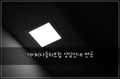 케이비자동차보험 상담안내  싼곳