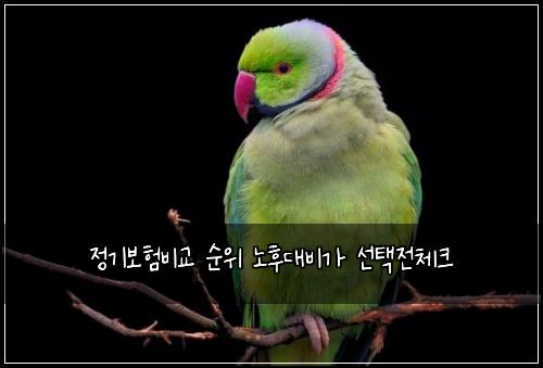 정기보험비교 순위 노후대비가 선택전체크