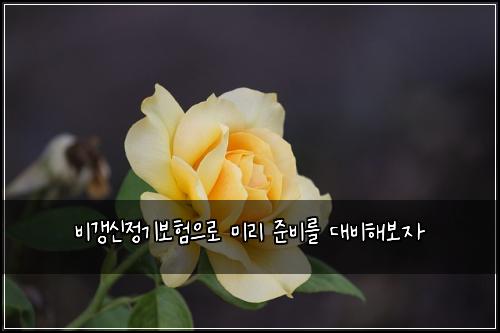 비갱신정기보험으로 미리 준비를 대비해보자
