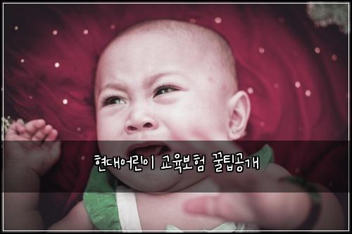 현대어린이 교육보험 꿀팁공개 