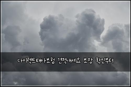 다이렉트태아보험 견적내세요  보장 확인부터