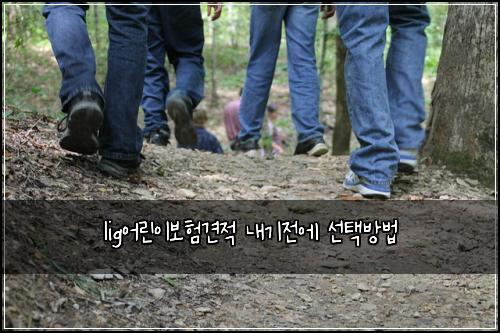 lig어린이보험견적 내기전에 선택방법