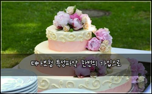 태아보험 특성파악  한번의 가입으로