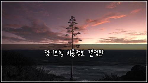 ์ ๊ธฐ๋ณดํ ๋น์ฉ์ ๋ณด ๊ฒฐ์ ํ