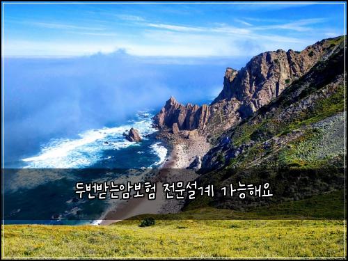 ๋๋ฒ๋ฐ๋์๋ณดํ ์ ๋ฌธ์ค๊ณ ๊ฐ๋ฅํด์