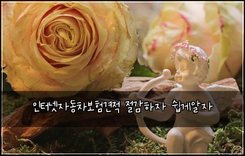 인터넷자동차보험견적 절감하자 쉽게알자