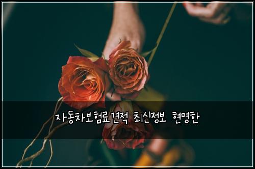 ์๋์ฐจ๋ณดํ๋ฃ๊ฒฌ์ ์ต์ ์ ๋ณด ํ๋ช
ํ