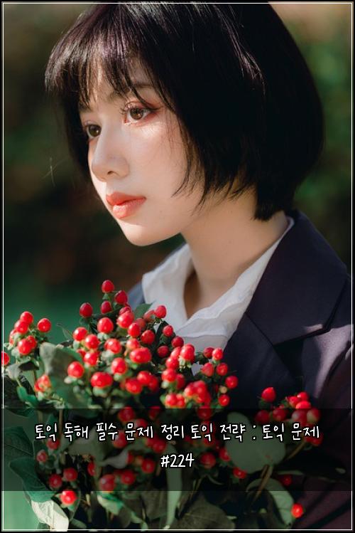 토익 독해 필수 문제 정리 토익 전략 : 토익 문제 #224