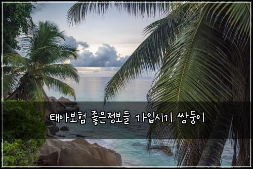 νμ보ν μ’μμ λ³΄λ€ κ°μ
μκΈ° μλ₯μ΄