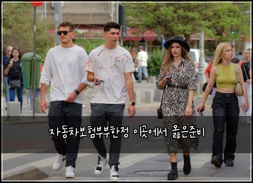자동차보험부부한정 이곳에서 옳은준비