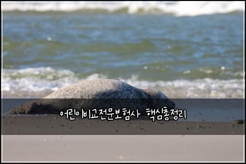 어린이비교전문보험사 핵심총정리