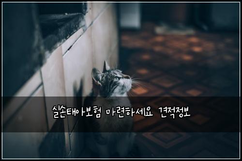 실손태아보험 마련하세요  견적정보