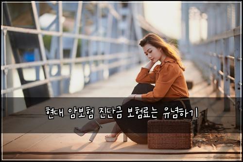 ํ๋ ์๋ณดํ ์ง๋จ๊ธ ๋ณดํ๋ฃ๋ ์ ๋
ํ๊ธฐ