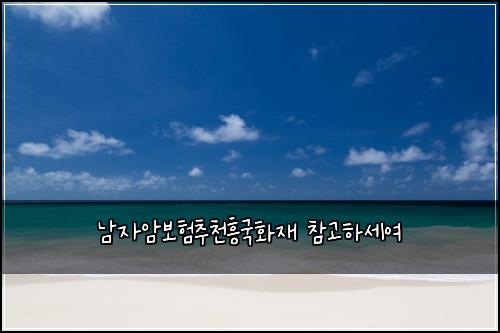 남자암보험추천흥국화재 참고하세여