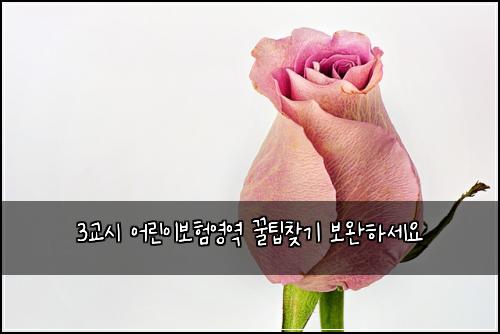 3교시 어린이보험영역 꿀팁찾기 보완하세요