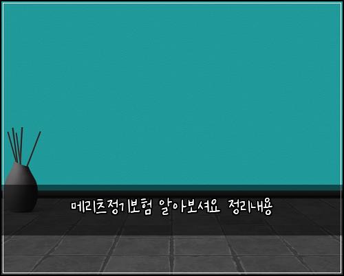 메리츠정기보험 알아보셔요  정리내용