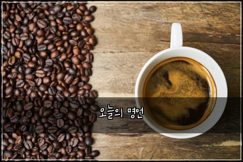 오늘의 명언