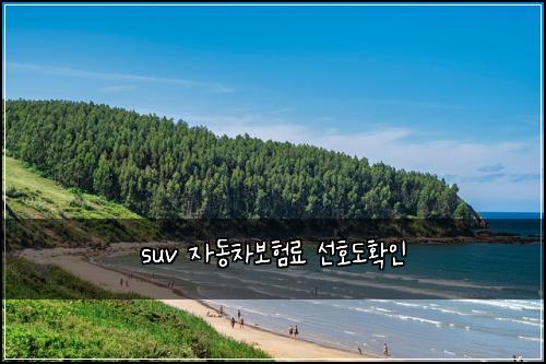 suv 자동차보험료 선호도확인