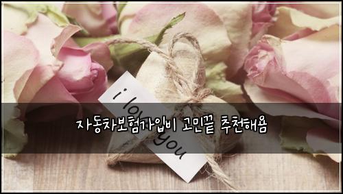 자동차보험가입비 고민끝 추천해욤
