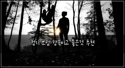 ์ ๊ธฐ ๋ณดํ ํญ๋ชฉ๋น๊ต ์ข์๊ฒ ์ถ์ณ