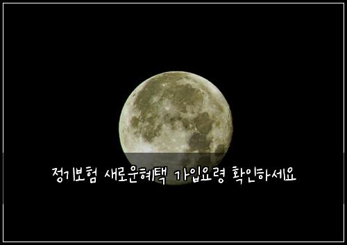 정기보험 새로운혜택  가입요령 확인하세요
