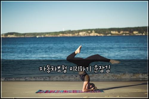 자동차보험 미리하기  문잠김
