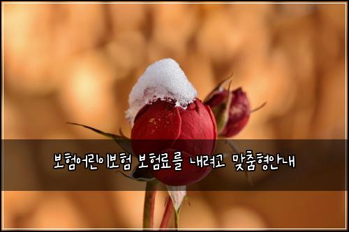 보험어린이보험 보험료를 내려고 맞춤형안내