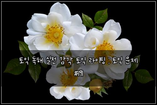 토익 독해 실전 감각 토익 라이팅 : 토익 문제 #191