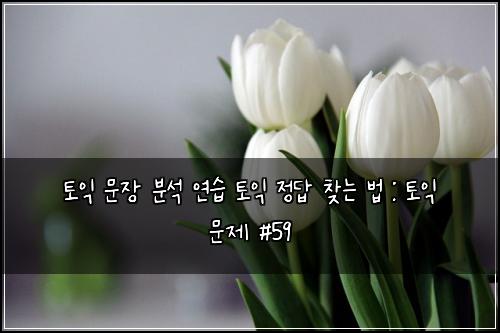 토익 문장 분석 연습 토익 정답 찾는 법 : 토익 문제 #59