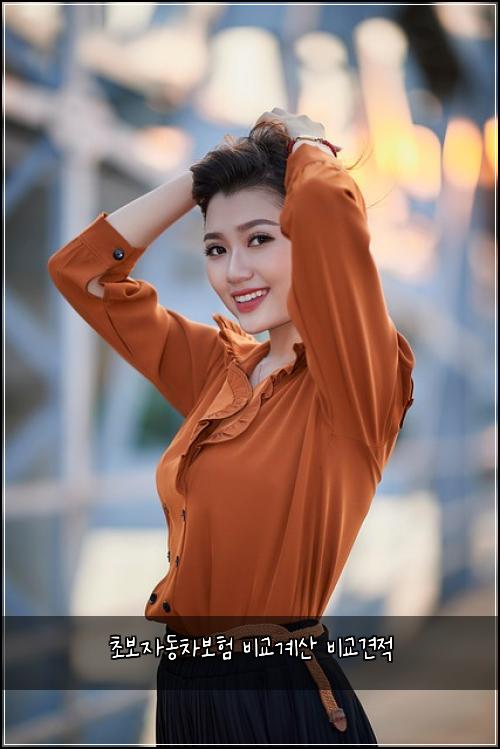 초보자동차보험 비교계산  비교견적