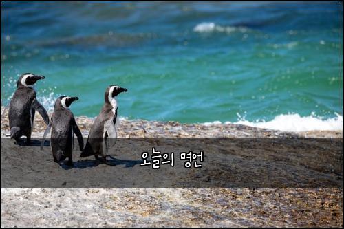 오늘의 명언