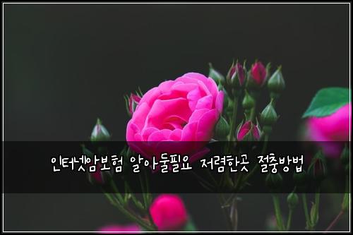 ์ธํฐ๋ท์๋ณดํ ์์๋ํ์ ์ ๋ ดํ๊ณณ ์ ์ถฉ๋ฐฉ๋ฒ