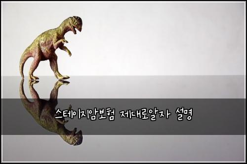 μ€ν
μ΄μ§μ보ν μ λλ‘μμ μ€λͺ