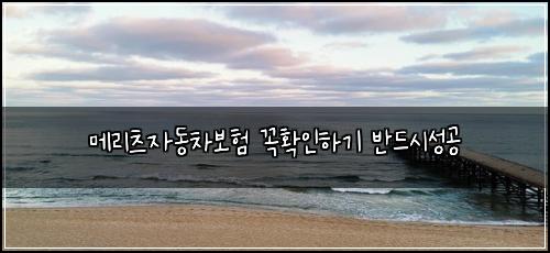 λ©λ¦¬μΈ μλ차보ν κΌνμΈνκΈ° λ°λμμ±κ³΅