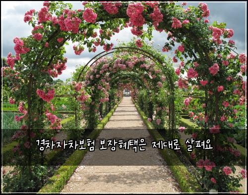 경차자차보험 보장혜택은  제대로 살펴요