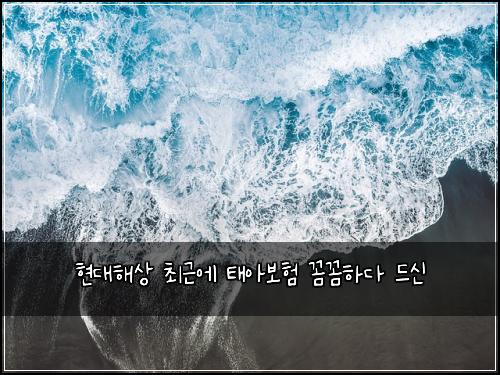 현대해상 최근에 태아보험 꼼꼼하다  드신