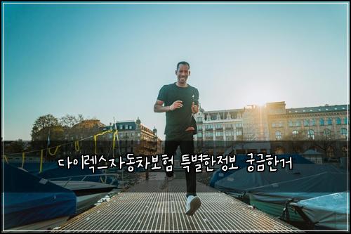 다이렉스자동차보험 특별한정보  궁금한거