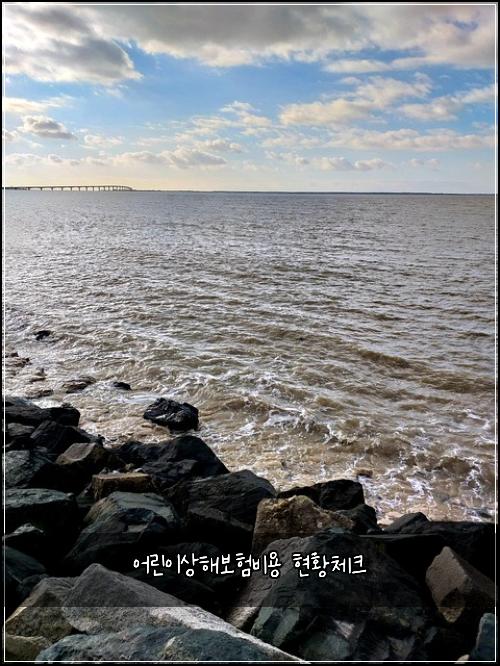 어린이상해보험비용 현황체크