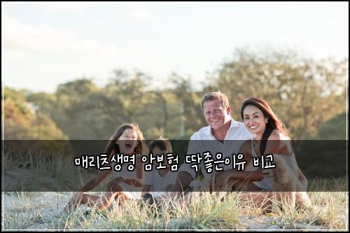 매리츠생명 암보험 딱좋은이유  비교