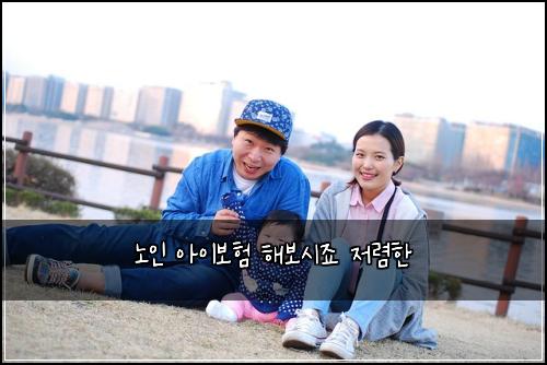 노인 아이보험 해보시죠  저렴한