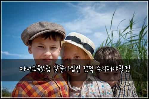 자녀교육보험 알뜰가입법  견적 주의해야할건