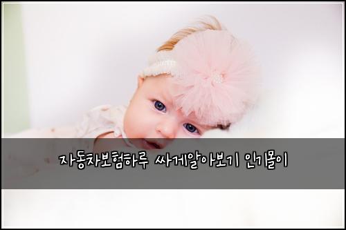 ์๋์ฐจ๋ณดํํ๋ฃจ ์ธ๊ฒ์์๋ณด๊ธฐ ์ธ๊ธฐ๋ชฐ์ด
