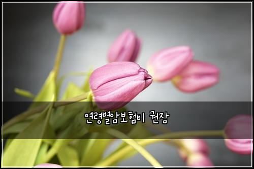 연령별암보험비 권장