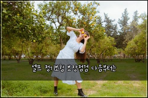셀프 정기보험 보장점검  다음부터는
