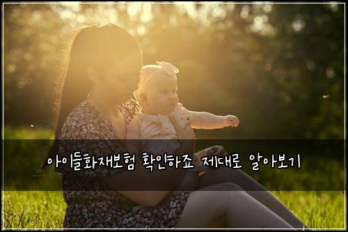 아이들화재보험 확인하죠  제대로 알아보기