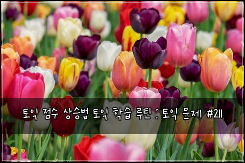 토익 점수 상승법 토익 학습 루틴 : 토익 문제 #211